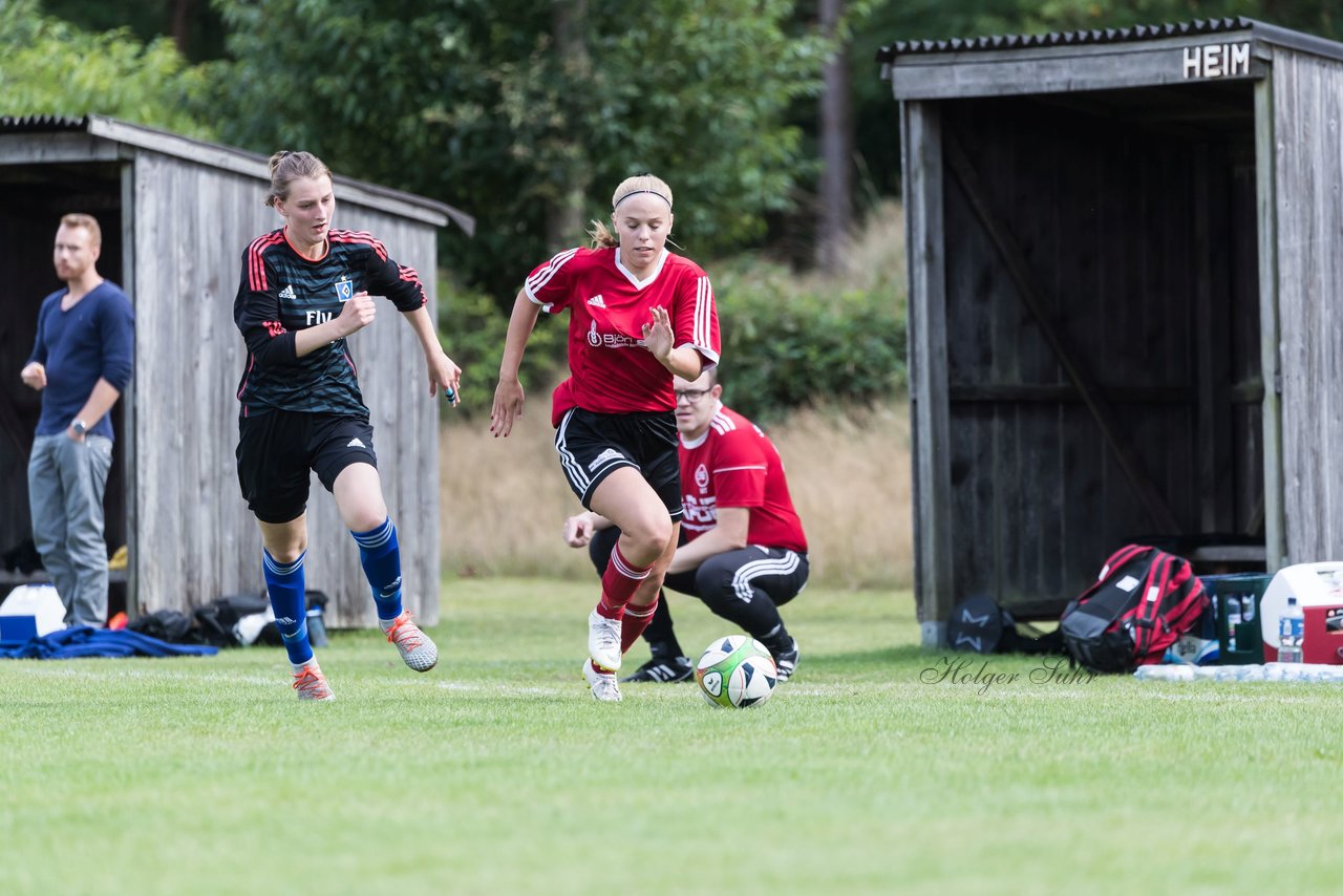 Bild 209 - Frauen SG NieBar - HSV 2 : Ergebnis: 4:3